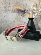 Hundehalsband Sanctified Covenant