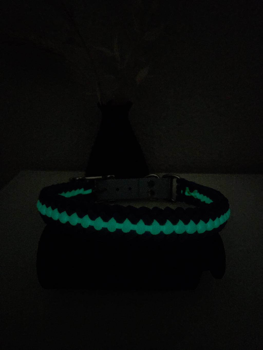 Glow Hundehalsband Sanctified Covenant