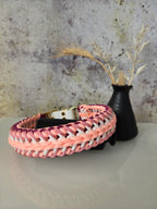 Hundehalsband Amoroso