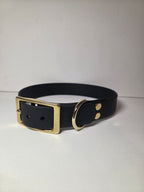 Hundehalsband Pure Line | Einfarbig