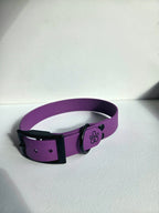 Hundehalsband Pure Line | Einfarbig