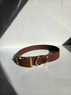 Hundehalsband Pure Line | Einfarbig
