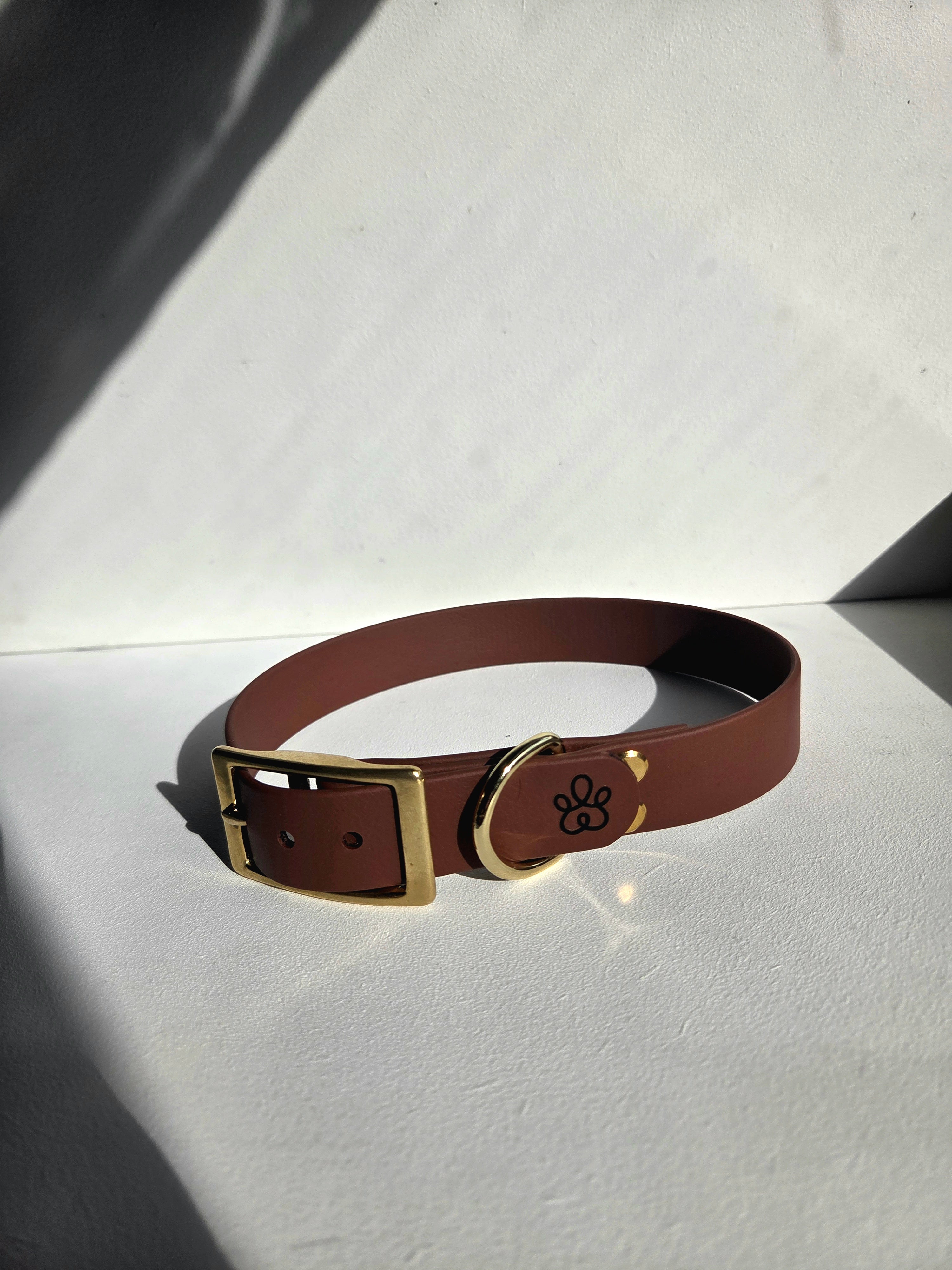 Hundehalsband Pure Line | Einfarbig