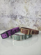 Hundehalsband Pure Line | Einfarbig