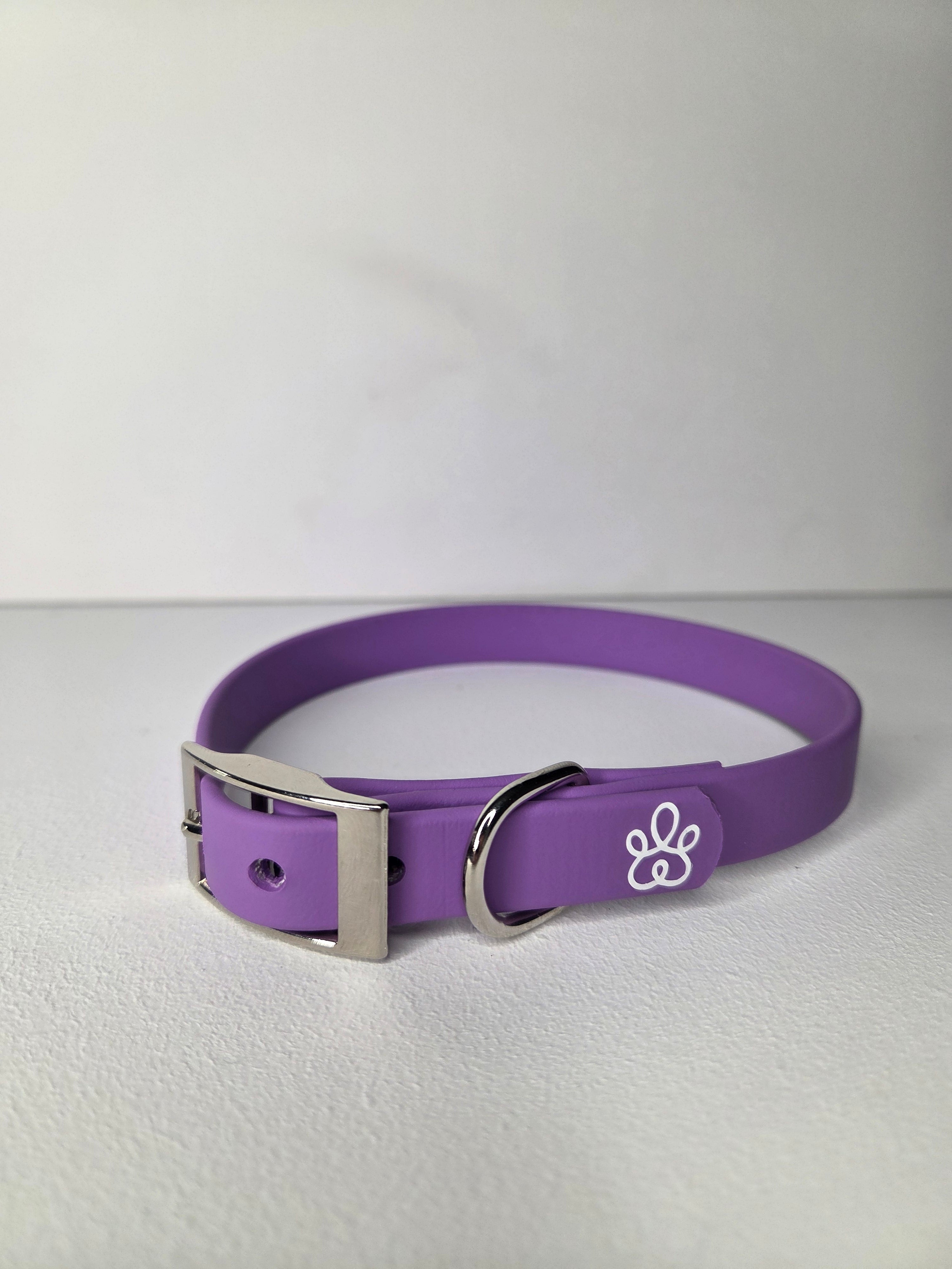 Hundehalsband Mini Pure Line | Einfarbig | optionale Personalisierung
