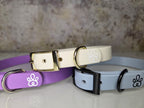 Hundehalsband Mini Pure Line | Einfarbig | optionale Personalisierung