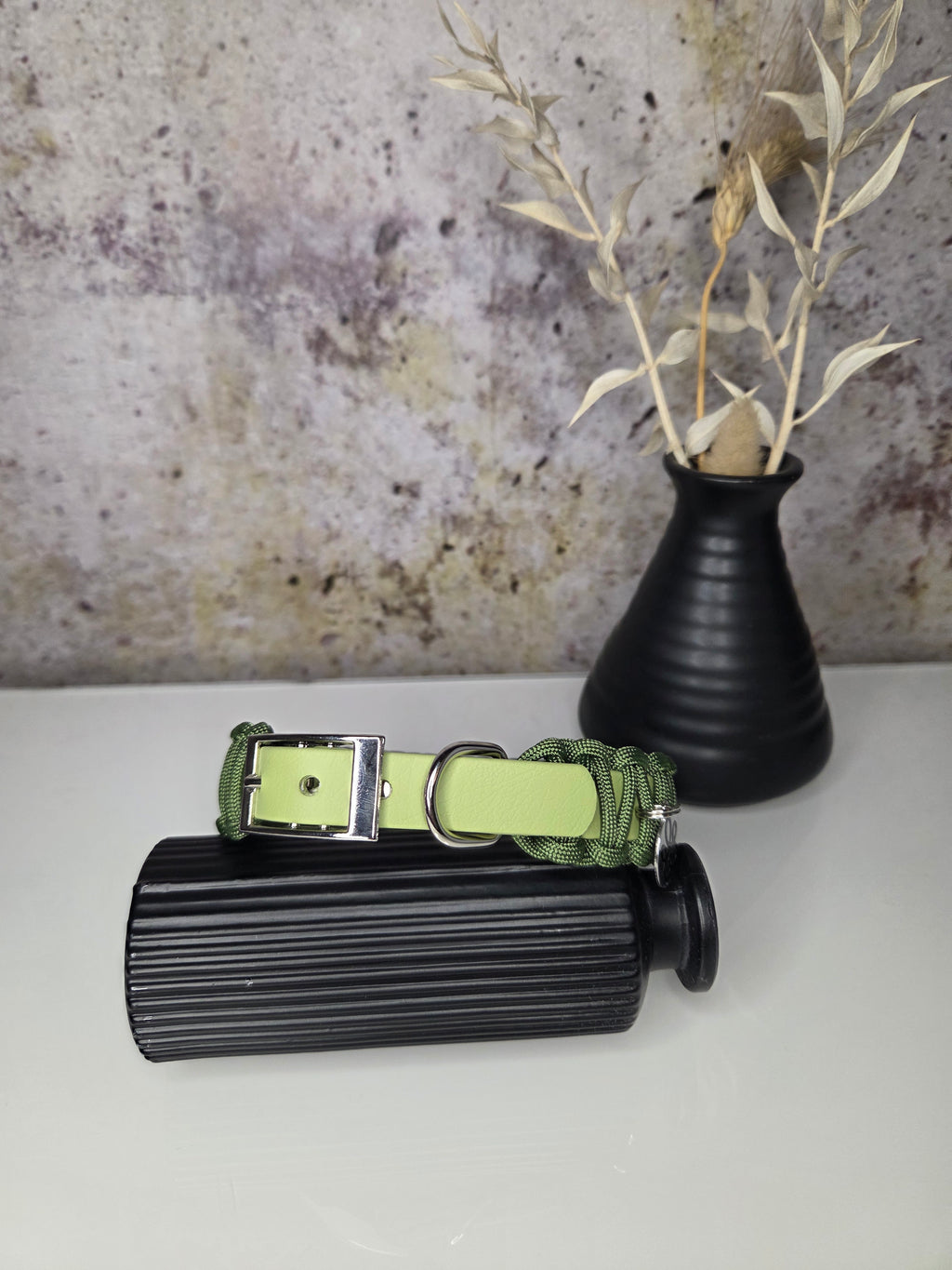 Hundehalsband Mini Classic Line | Einfarbig