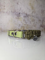 Hundehalsband Mini Cobra | Einfarbig