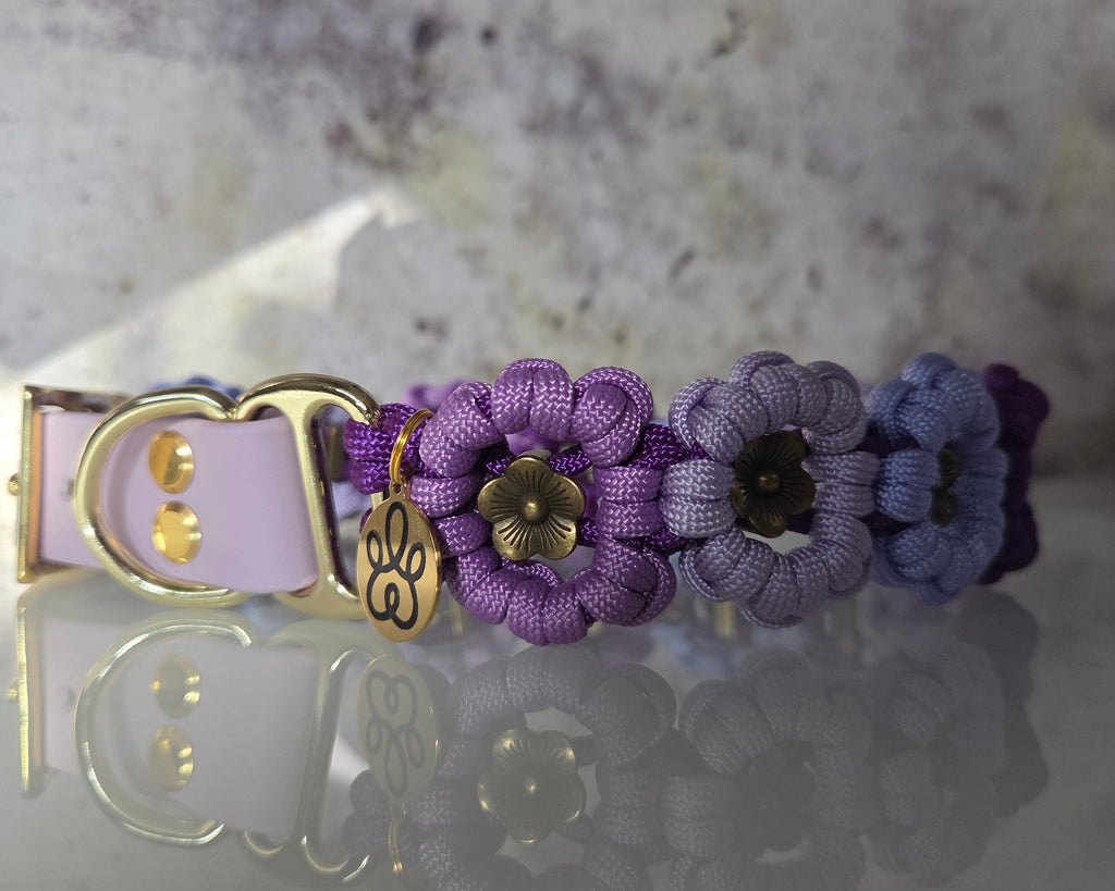 Violet Fusion | The Bloom