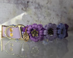 Violet Fusion | The Bloom