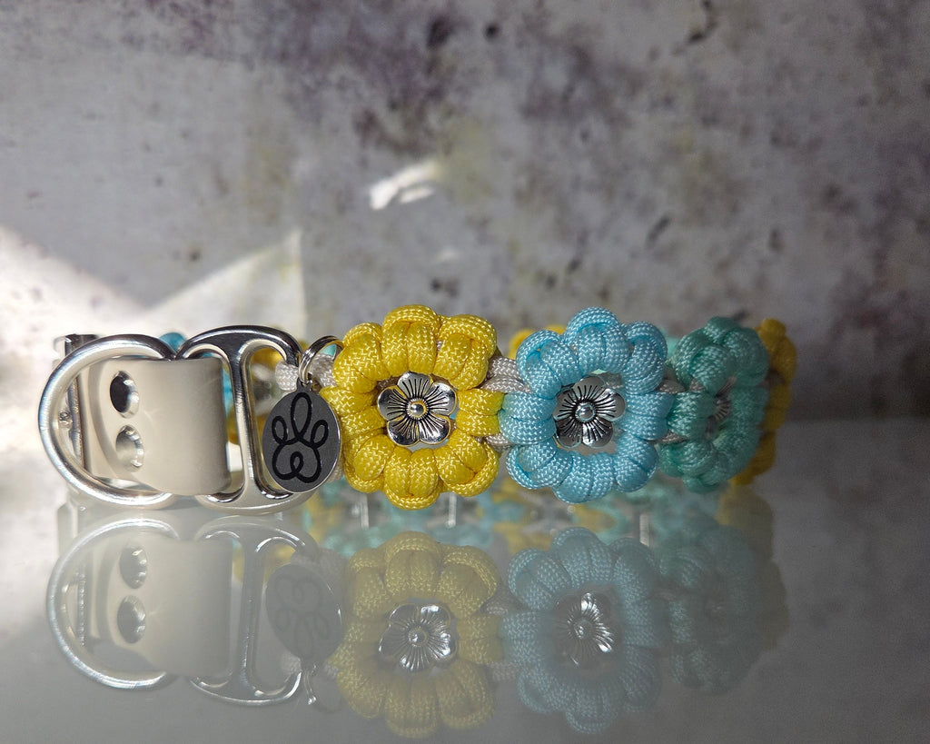 Spring Edition | The Bloom