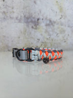 Hundehalsband Mini Solomon Dragon