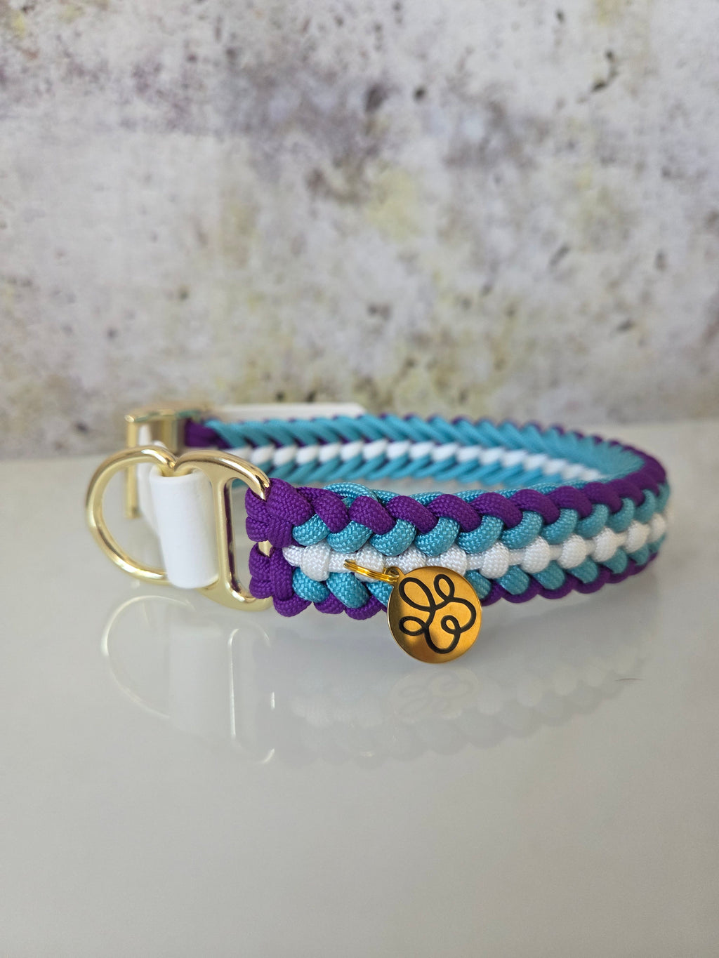 Hundehalsband Sanctified Covenant