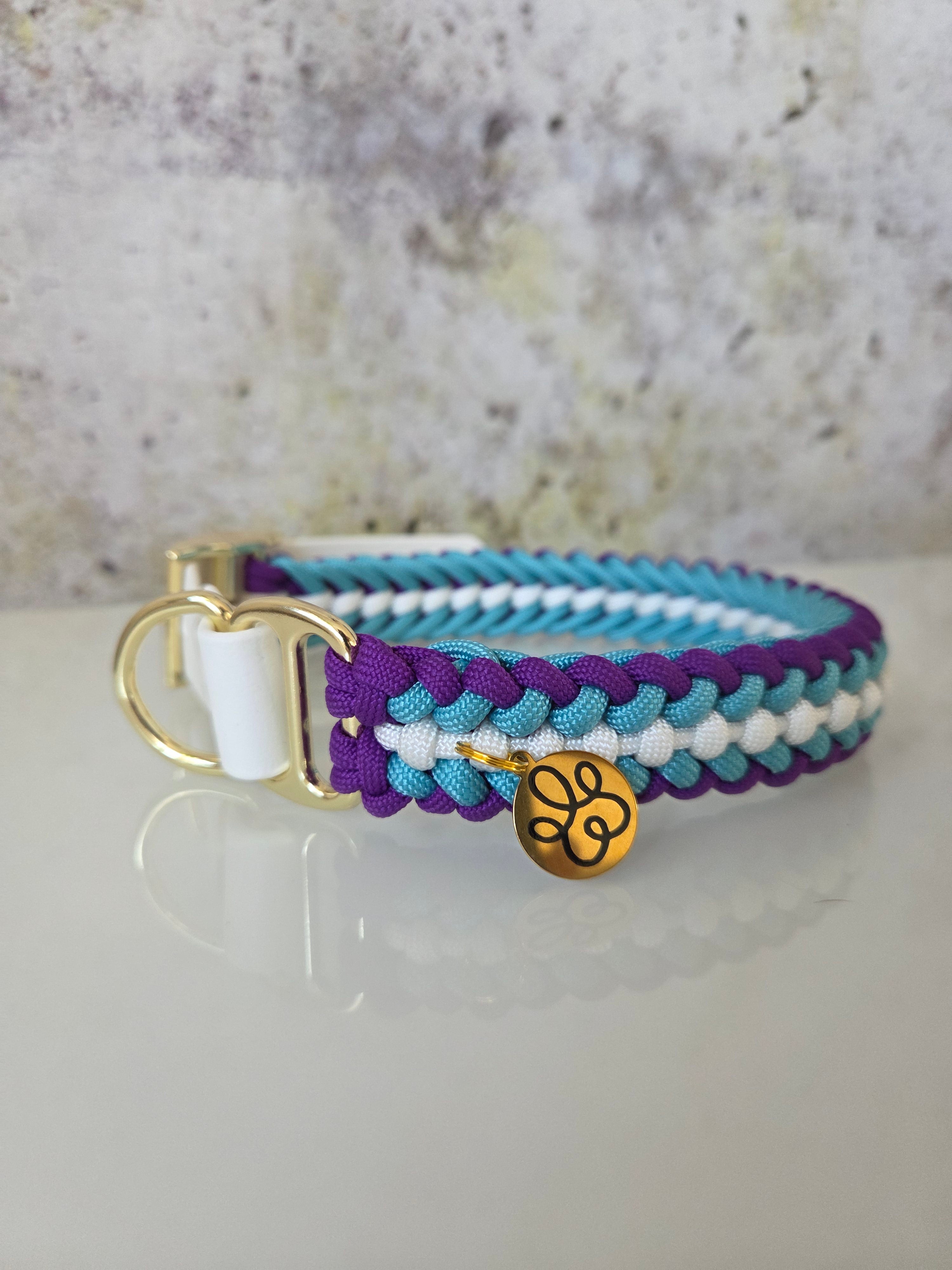 Hundehalsband Sanctified Covenant