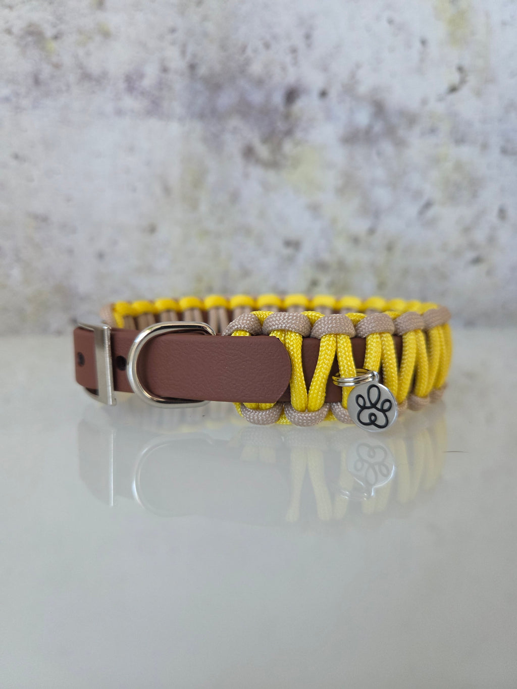 Hundehalsband Mini Classic Line | Zweifarbig