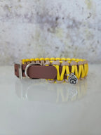Hundehalsband Mini Classic Line | Zweifarbig