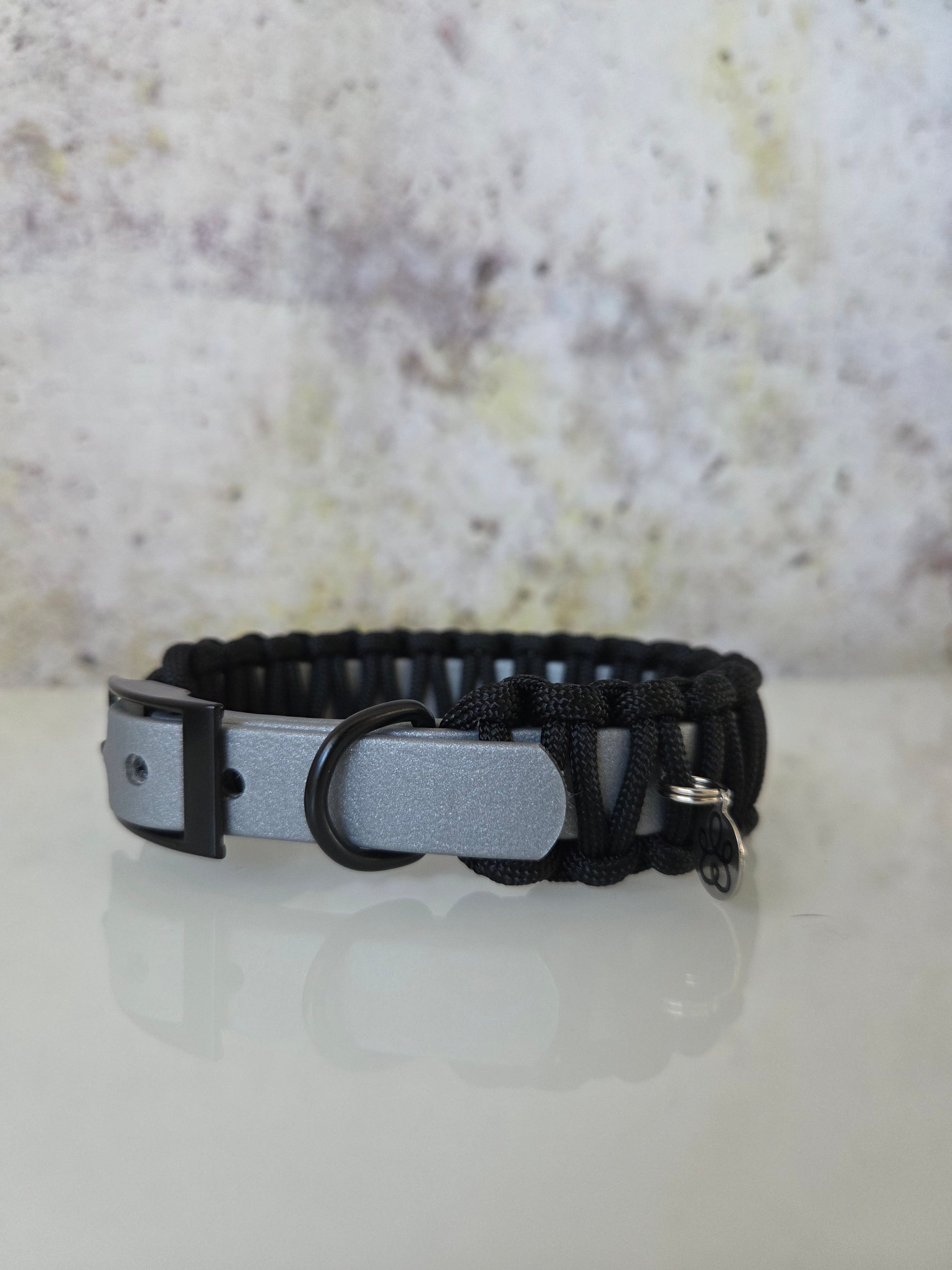 Hundehalsband Mini Classic Line | Einfarbig