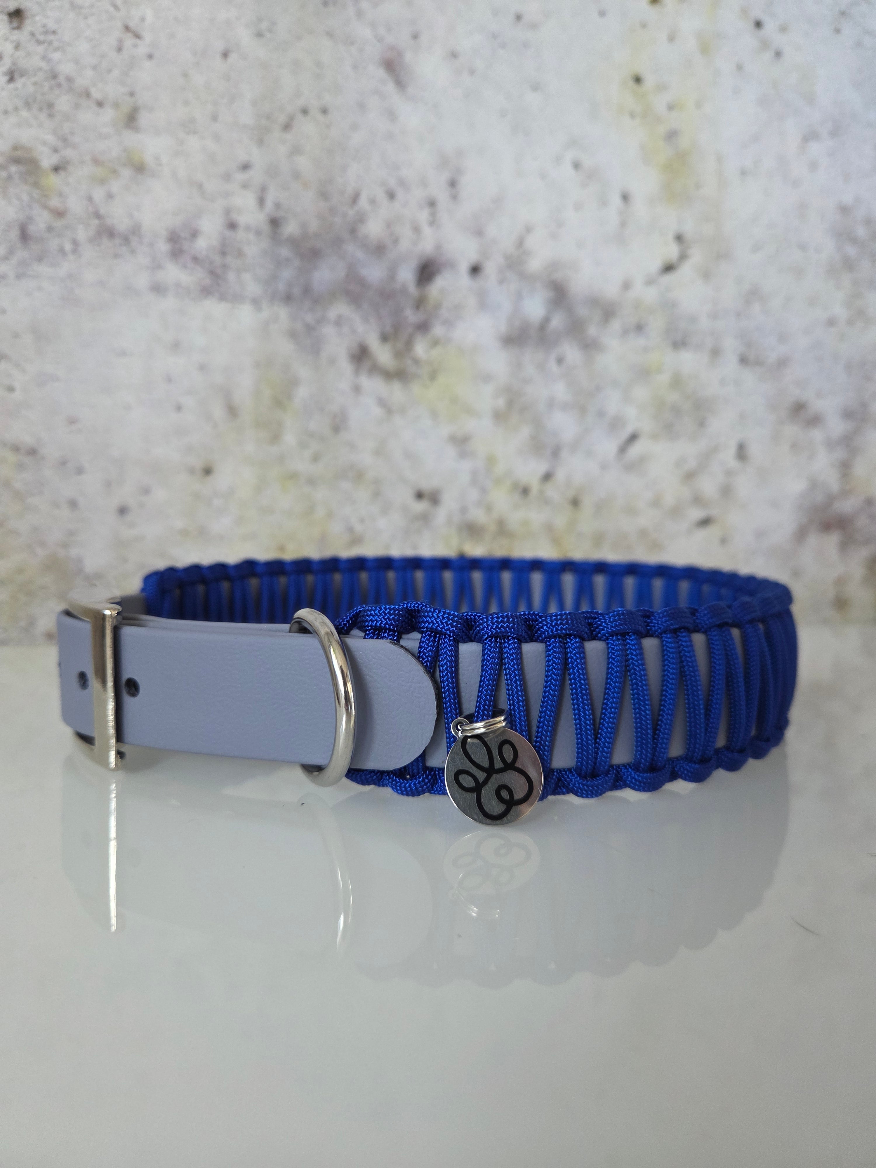 Hundehalsband Classic Line | Einfarbig