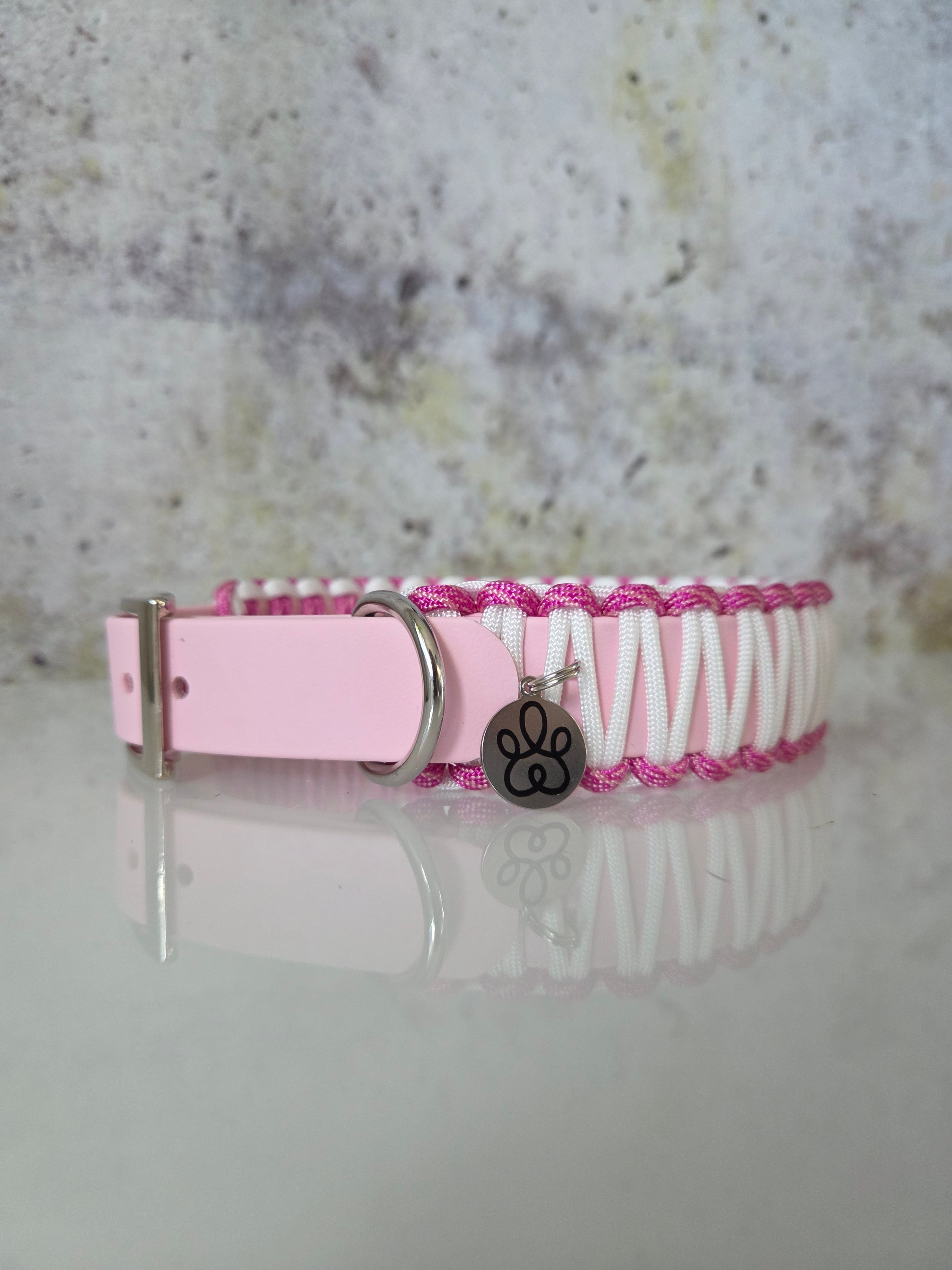 Hundehalsband Classic Line | Zweifarbig