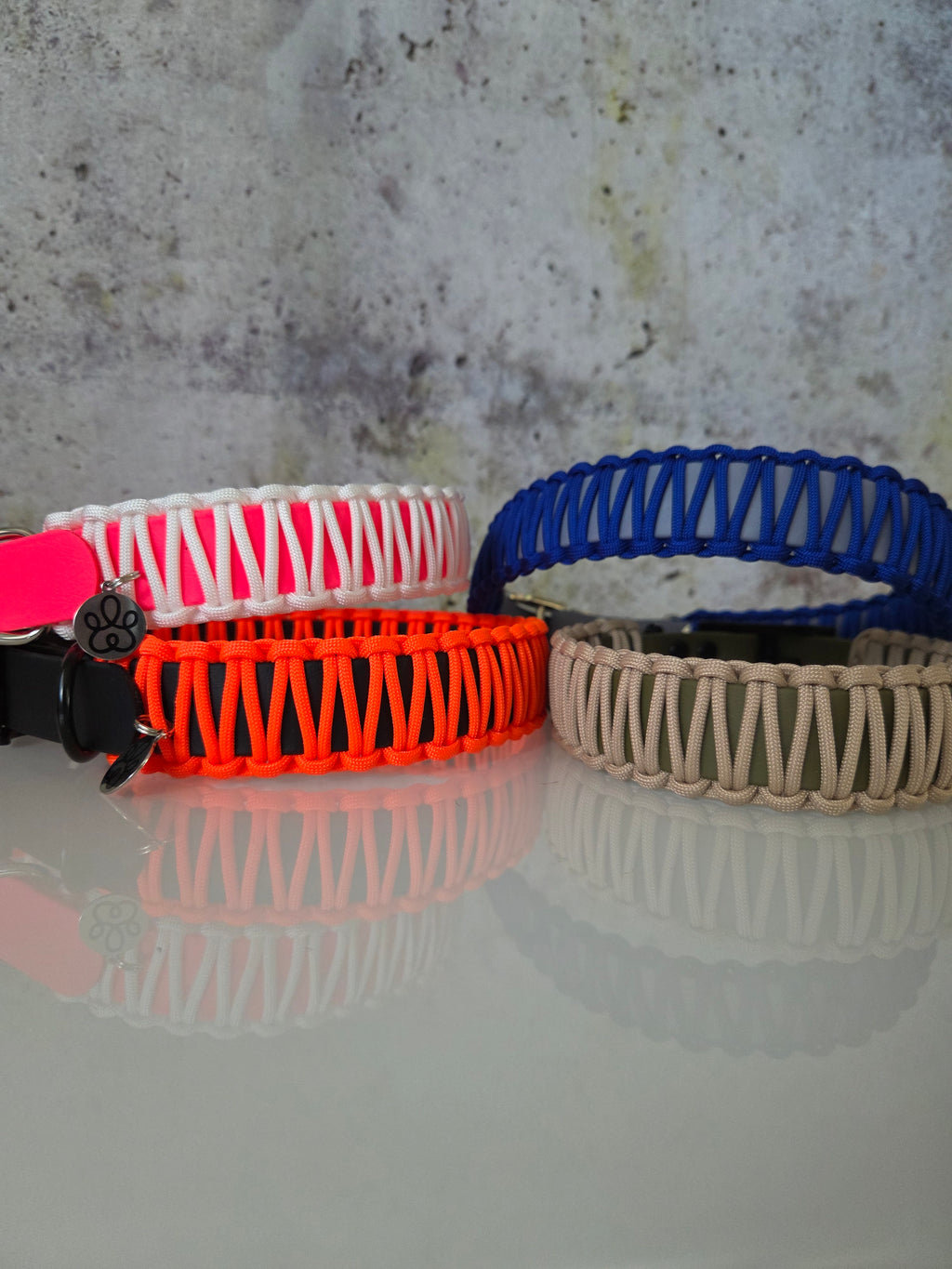 Hundehalsband Classic Line | Einfarbig