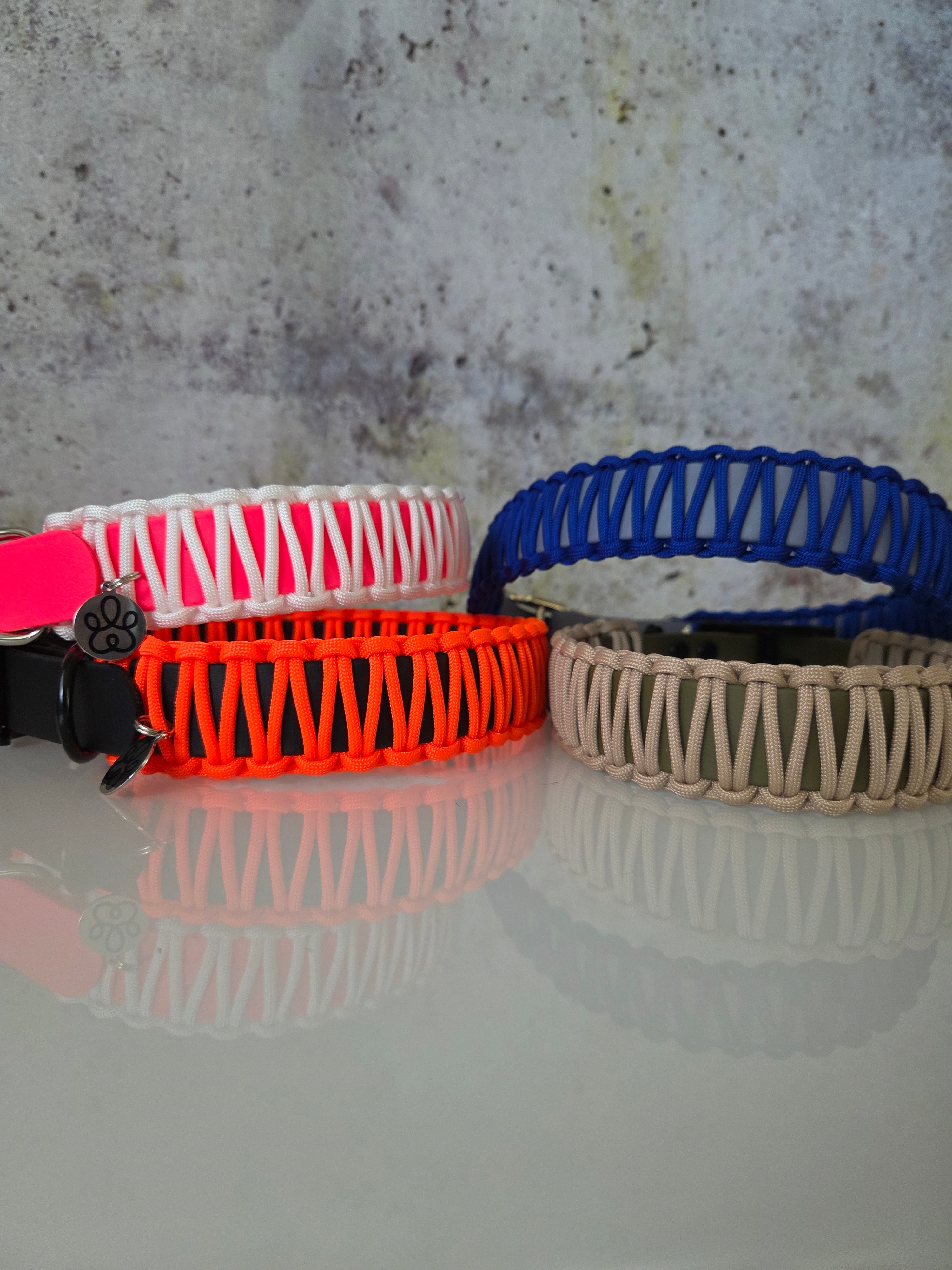 Hundehalsband Classic Line | Einfarbig