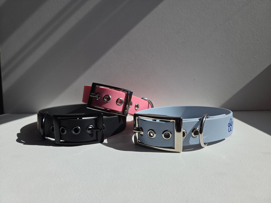Hundehalsband Pure Line | Einfarbig | Beschriftung