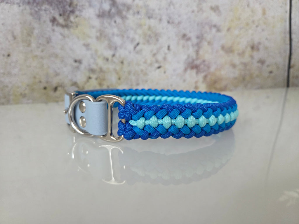 Glow Hundehalsband Sanctified Covenant