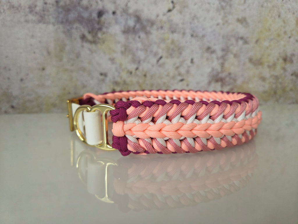 Glow Hundehalsband Amoroso