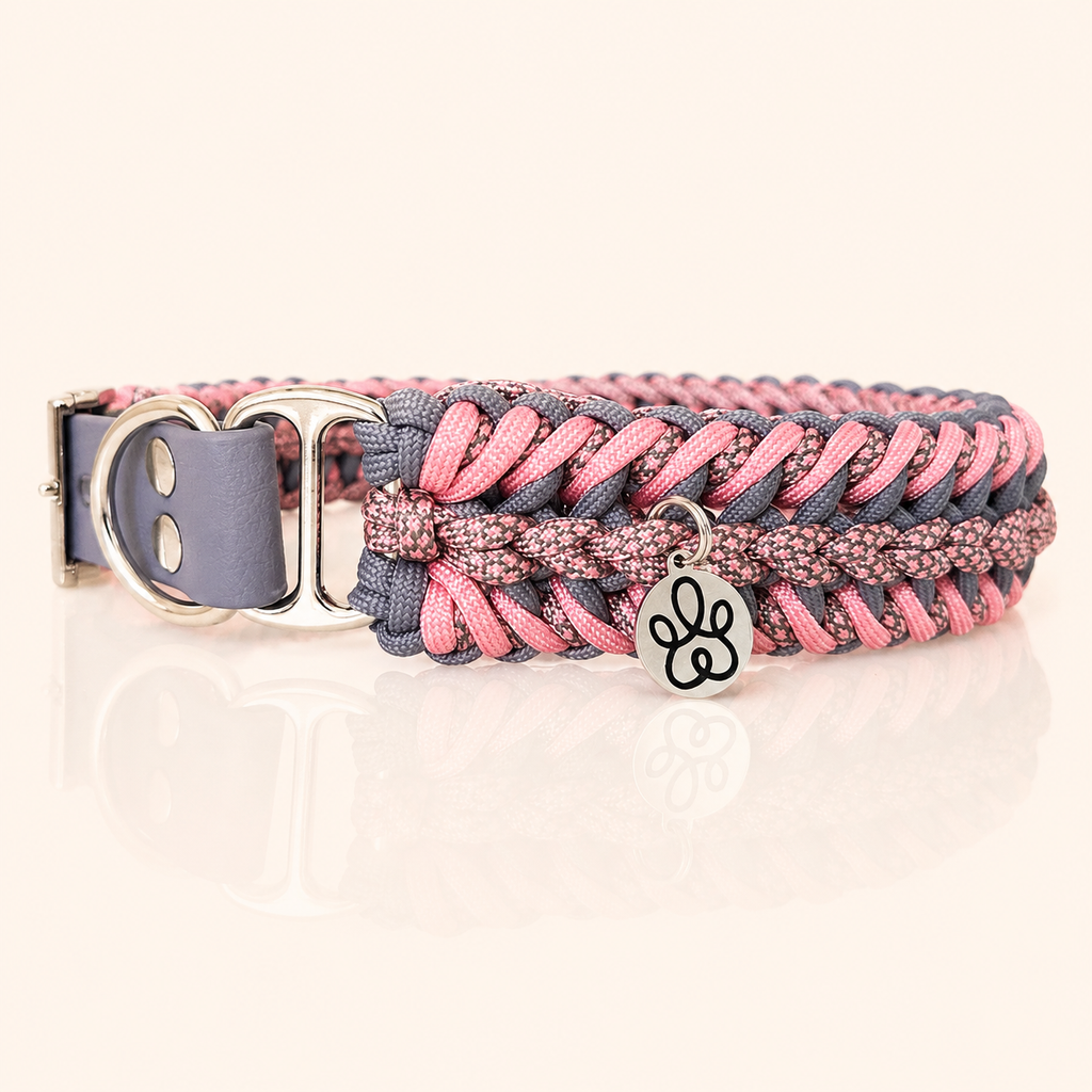 Hundehalsband Amoroso