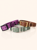 Hundehalsband Pure Line | Einfarbig