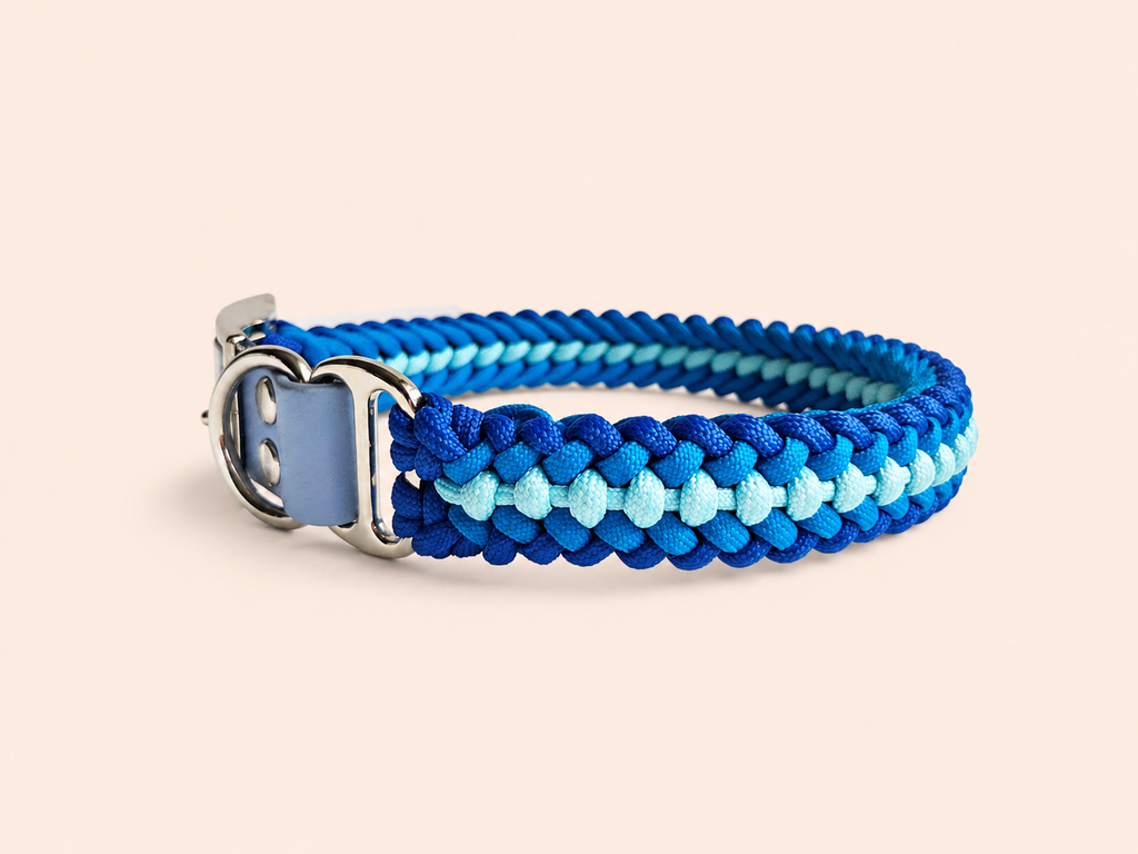 Glow Hundehalsband Sanctified Covenant