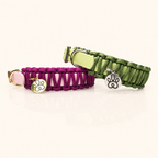 Hundehalsband Mini Classic Line | Einfarbig