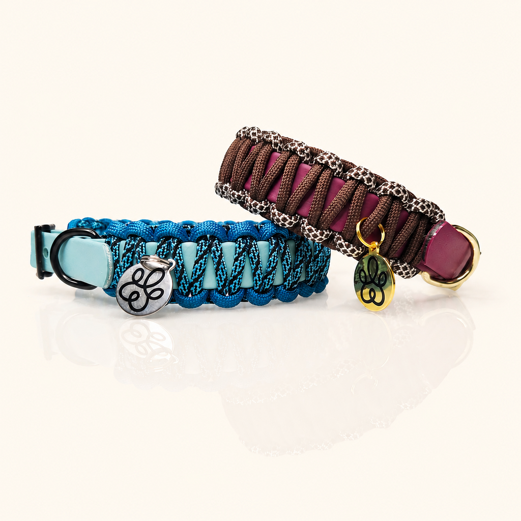 Hundehalsband Mini Classic Line | Zweifarbig
