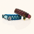 Hundehalsband Mini Classic Line | Zweifarbig