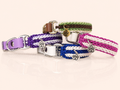 Hundehalsband Mini Shining Sun