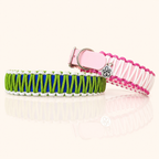 Hundehalsband Classic Line | Zweifarbig
