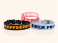 Hundehalsband Pure Line | Einfarbig | Beschriftung