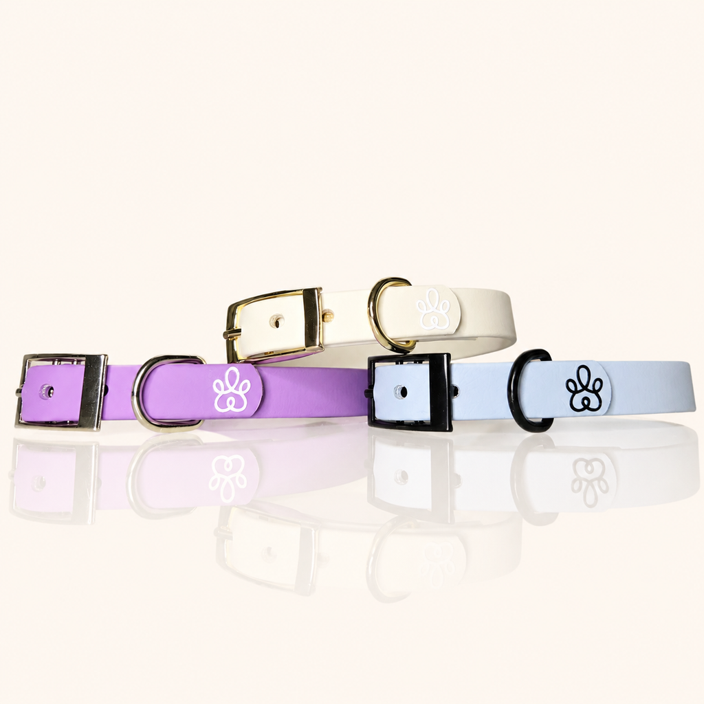 Hundehalsband Mini Pure Line | Einfarbig | optionale Personalisierung