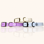 Hundehalsband Mini Pure Line | Einfarbig | optionale Personalisierung