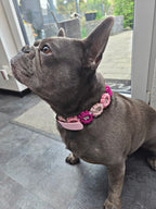 Sparkly Rose | The Bloom
